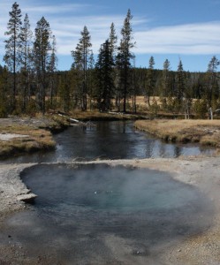 A Shoshone Geyser Basin pool in front of Shoshone Creek on October 18, 2008.
