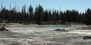 One of the many thermal areas west of Summit Lake. Photographed July 4, 2012.